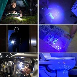 2 po in 1 UV + Light White Mini Pen Light UV Lampe de poche UV LED 395NM ULTRAVILET PALLE PALLE BLACKLAGNE DÉTECTEUR DE lampe de poche