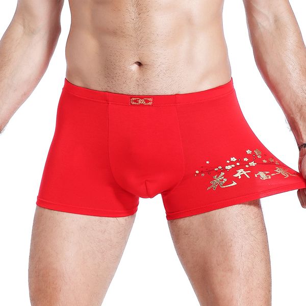 2 PCS Big Size Men Boxers Briefes Shorts sous-vêtements Sous-vêtements Boy Undies Patties Couleur rouge L XL 2XL 3XL 4XL 2023 Cadeaux de Nouvel An