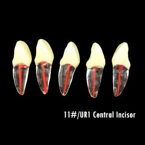 2 pc's tandheelkundige endo tandwortelkanaalmodellen roterende bestanden rct endodontics oefenblok pulpholte tandheelkunde training harsmodel