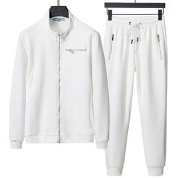 2 stuks set ontwerper hoodie jas sport pak heren broek 2024 casual zwart grijze kleur sport broek fitness kleding heren hoogwaardige multi -size beschikbare fz2404252