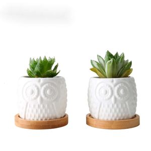 2 Set Ceramic Succulent Flowerpot Blanc White Owl Flowerpots avec porte-plate