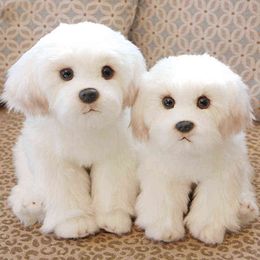 2 Maten Maltese Gevulde Hond Knuffelen Leuke Simulatie Huisdieren Pluizige Babypoppen Verjaardag Cadeaus Voor Ldren Bichon Verse Puppy gift J220729