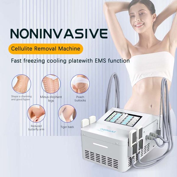 2 ans de garantie Cryolipolysis Fat Freeze Minceur Decive Réduction de la cellulite Gel des graisses Perte de poids 4 tampons de refroidissement 8 pièces cryolipolyse plate ems cryo pads machine