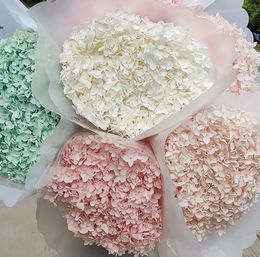 20-25 cm têtes 45 cm de long Anna Hortensia à petite feuille conservée Anna Préservé avec un bureau de la tige DÉCOR MAR INDOOR FLORRIST DIY