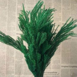 20-30cm 30g réel séché naturel frais pour toujours branches de lycopodium décoratif club mousse bouquet sec préservé herbe éternelle maison 2102604
