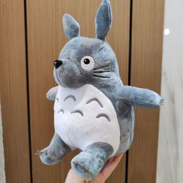20/30CM Leuke Anime Gevulde My Neighbor Totoro Knuffels Cartoon Pop voor Kinderen Kids Gift Decoratie