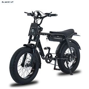 20 inch 2023 elektrische fiets voor vrouwen 750W 1500W elektrische fiets fatbike met 18Ah lithium batterijwegen strandmotorfiets voor man