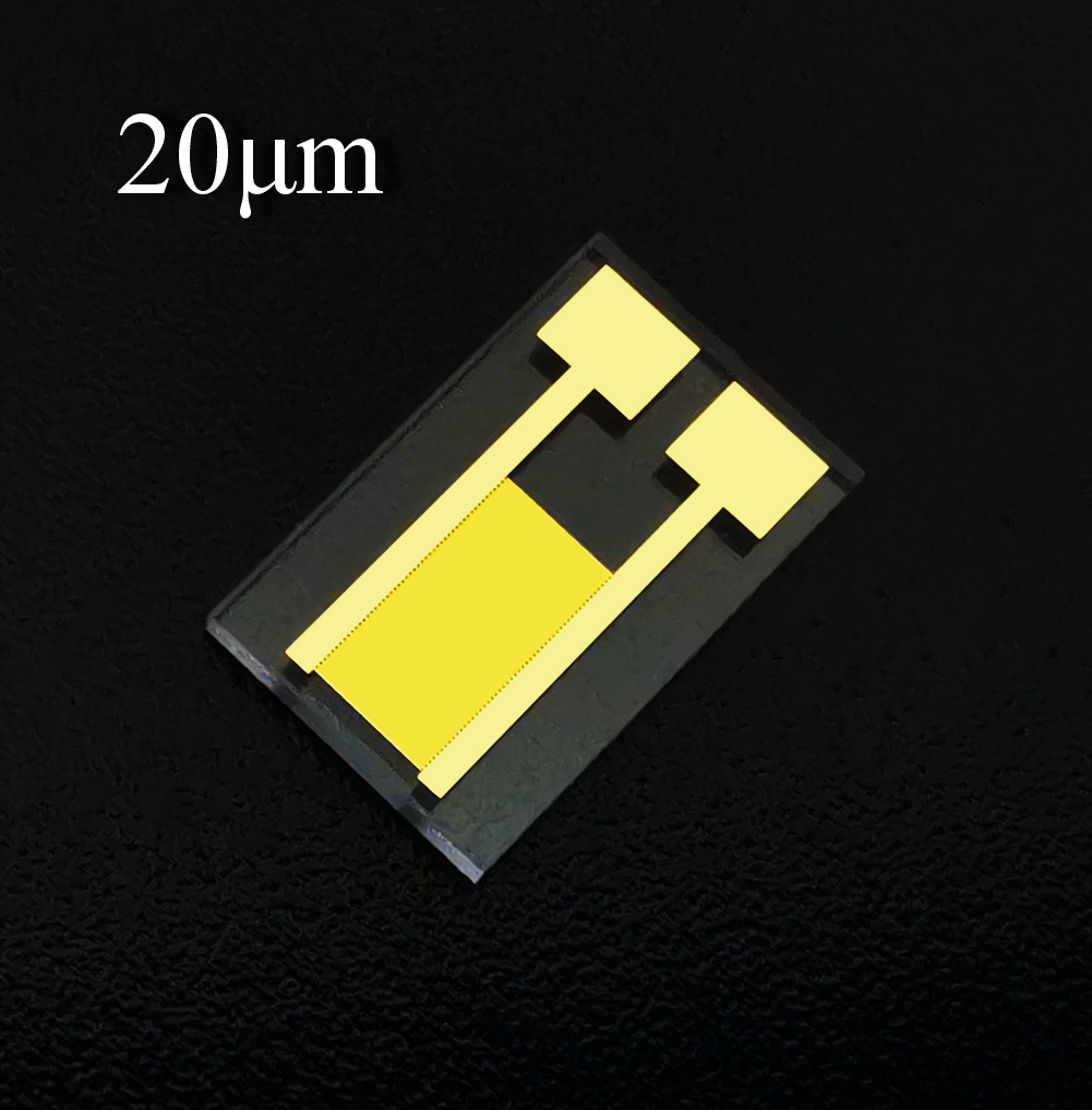 20 microns électrodes interdigitées IDE Quartz verre or microélectrode MEMS capteur chimique optique médical biocapteur puce