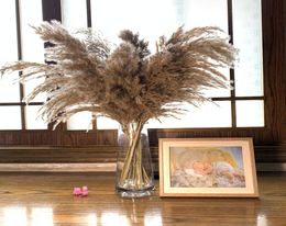 20 tiges Taille M Light Colordried Fleur réalité séchée Pampas Gras d'herbe Bouquet de mariage Plantes naturelles Décoration Home Duffy Reed7369329