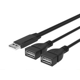 20 USB Une femme à deux câbles de charge de données masculins 1 minute 2USB Câble de données pour charger de 30 cm de longueur