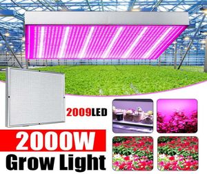 2000w 2009leds LED CLUP LAMPLE Spectre complet LED PLANT CROPPRIMMANCE LAMPE INDOOR CLUMEUR CLUMEUR LEU PLANT HYDROPONIQUE SYSTÈME 6310879