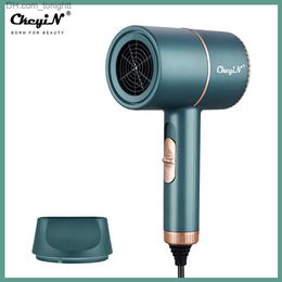 Sèche-cheveux électrique à anions bleus 2000W, sèche-cheveux à faible bruit, sèche-cheveux rapide, sèche-cheveux professionnel pour Salon de coiffure, vent chaud et froid 31 Q230828