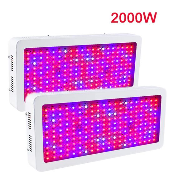 2000W Double puce LED élèvent des lumières à spectre complet rouge bleu UV IR pour plante et fleur d'intérieur de haute qualité 6664952