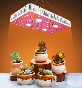 2000W LED Plant Grow Light Full Spectrum Indoor Plants Light Growing Veg Flower Cob series Grow Light