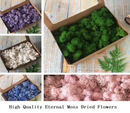 200g Hochwertiges Ewiges Moos Künstliche Grünpflanze Getrocknete Blumen DIY Geschenkbox Kunsthandwerk Zubehör Dekor Wandaufkleber Decora4940559