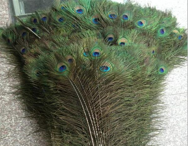 200 Uds. Abanico de plumas de cola de pavo real 10quot12quot para decoración de fiesta de boda 9353553