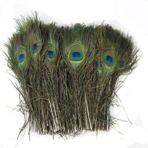 200 stks Natural Peacock Feather 25-30 cm 10-12 