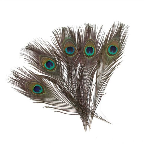 200 piezas de plumas de pavo real natural 25-30 cm 10-12 