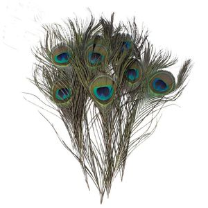 Suministros festivos para fiestas, pantalla de ojos de plumas de pavo real Natural de 10-12 pulgadas/25-30cm, decoraciones verdes para manualidades y bodas