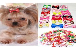 200pcslot diverse pet Cat Dog Hair Bows met rubberen bands verzorgt accessoires schattig huisdierenhoofdkleding voor kleine honden7874332