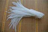 Envío gratis venta al por mayor 100 unids / lote 12-14 pulgadas blanco puro coque gallo hackle cola pluma para artesanías decoración