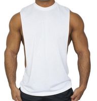 golds gym stringers