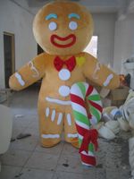 2020 Fábrica directa del hombre de pan de jengibre venta Tamaño de la mascota del traje de adultos