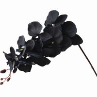 Ipek Siyah renk Güve orkide Phalaenopsis Kelebek orkide Çiçek büyük boy kafaları düğün dekoratif yapay çiçekler