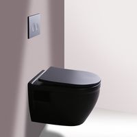 Filigran Siyah Duvar Bide Tava Ile Tuvalet Koltuk Asmak Ilebal İstihbarat Çift Yıkama Gizli Sistem Banyo Sıhhi Gereçler P-Tuzak