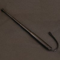 hip stick metal detecting