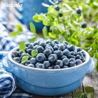 100pcs BlueBerry Seeds Planters for Artificial Flower Green Plant The Germination Rate 95% Organic Non-GMO Delicious Tasty Fast Growing Planting Season