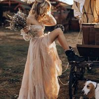 Charming Lace Spring V- Neck Garden Wedding Dresses Sheer Ara...