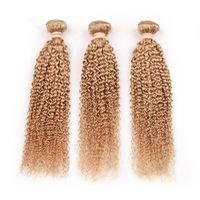 Malaisien Vierge Humain Cheveux # 27 Honey Blonde Kinky Bordles Burly offres 3pcs Lot Curly Brun Brown Humin Hair Tissu Extensions Double trame