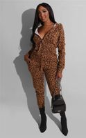 2 шт. Брюки Sexy Slim Длинные рукава с капюшоном с капюшоном костюмы мода леопард женские одежды женщины дизайнерские трексуиты