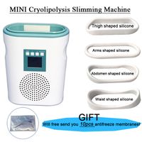 CE approve Portable MINI Cryolipolysis Fat Freezing Slimming...