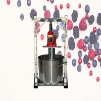 Haute Qualité 22L Ménage en acier inoxydable Vin de raisin à vin Pressage Faire de la machine Filtre de presse à fruits Équipement Conclusion de l'huile Press machine