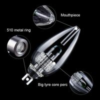Mini Glass Bong Deluxe Kit Birdcage Percolator Glass Water Pipe with Titanium Quarzt Tips Ceramic Nail Dab Rigs For Smoking