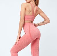 Seamless Yoga suits Sports Outfits Womens Tracksuits Two Pie...