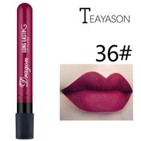 Lip Gloss 2021 Mode Vampier Matte Waterdichte Velvet Stick 30 Kleuren Sexy Rode Pigmenten Make-up