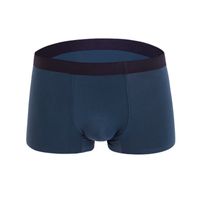 3PIECES / LOT MEN BOXER SET 3 st underkläder sömlösa is silke Modala Stora Mens Underbyxor Boxer Briefs Quik Dry Comfort Panties Intimate