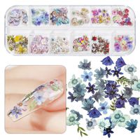 12 Grids Nail Art Jewelry Wood Pulp Chips Mixed Butterfly Fl...