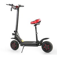 Scooter électrique avec siège adultes 2 roues électriques-scooters 1000w / 2000W / 3600W vitesse de 70 km / h Ecorider E Ecorider E4-9 vélo électrique pliable E4-9