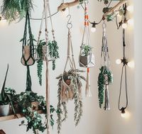 Trädgård växt hängare handgjorda macrame hängande korg planter blomma potten hållare jute rep väggkonst dekor