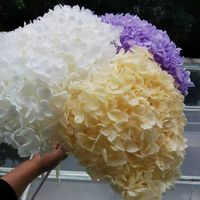 18-20cm Head,Natural Preserved Anna Hydrangea with stem,Eternal Display flower bunch for Wedding Home Decoration accessories 220112