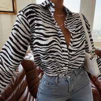Women' s Blouses & Shirts 2021 Fashion Zebra Print Blous...