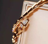 Luxuriöse Qualität Schlangenform Design Armband für Frauen Hochzeit Schmuck Geschenk Nein Fade Keine Änderung Farbe Kostenloser Versand PS82
