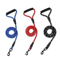 Nylon Training Dog Leashes Webbing Recall Long Lead Pet Traction Rope Great For Teaching Camping Backyard378p