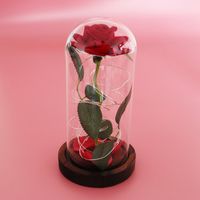Rose Lasts Forever with Led Lights in Glass Dome Valentine&#...