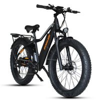 S11 Electric Off Road Велосипед 2 Колеса Электрические велосипеды 750 Вт 48 В 35 км / ч Изотащенные шины Электрический горный велосипед для взрослых с двойными тормозами