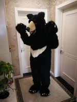 Hot High Quality Real Pictures Black Bear Mascot Kostym Gratis frakt